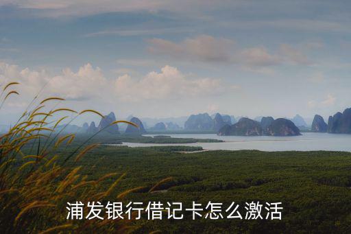 浦發(fā)銀行借記卡怎么激活