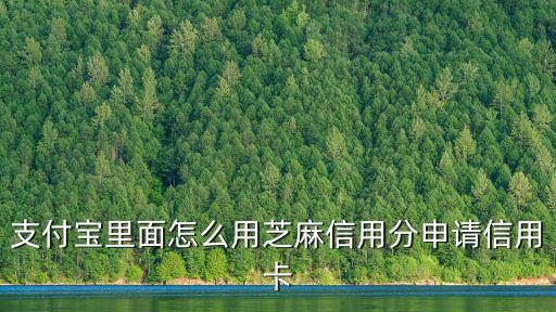 支付寶里面怎么用芝麻信用分申請信用卡