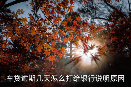 車貸逾期幾天怎么打給銀行說明原因