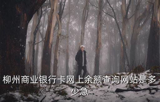柳州商業(yè)銀行卡網(wǎng)上余額查詢(xún)網(wǎng)站是多少急