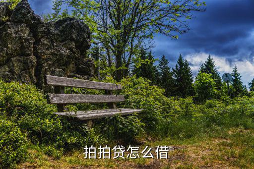 拍拍貸怎么借