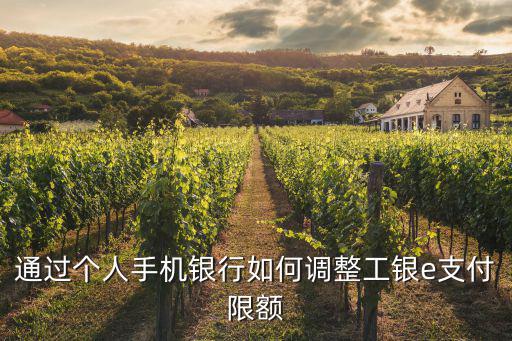 通過個(gè)人手機(jī)銀行如何調(diào)整工銀e支付限額