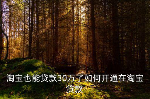 淘寶也能貸款30萬(wàn)了如何開通在淘寶貸款