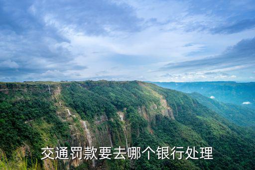 交通罰款要去哪個銀行處理