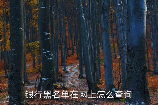 銀行黑名單在網(wǎng)上怎么查詢