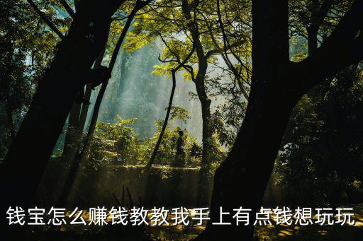 錢寶怎么賺錢教教我手上有點錢想玩玩