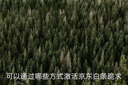 京東普通白條怎么激活，可以通過哪些方式激活京東白條跪求