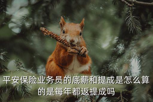 平安保險業(yè)務員的底薪和提成是怎么算的是每年都返提成嗎