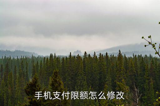 手機(jī)銀行限額怎么改，手機(jī)支付限額怎么修改