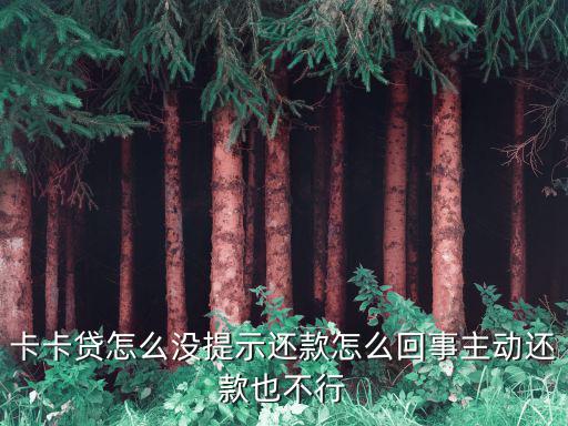 卡卡貸怎么沒提示還款怎么回事主動還款也不行