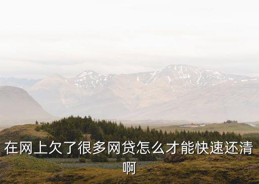在網(wǎng)上欠了很多網(wǎng)貸怎么才能快速還清啊