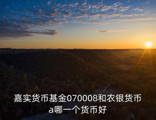 070008嘉實(shí)貨幣怎么樣，070008這只基金怎么樣可以購買嗎收益如何