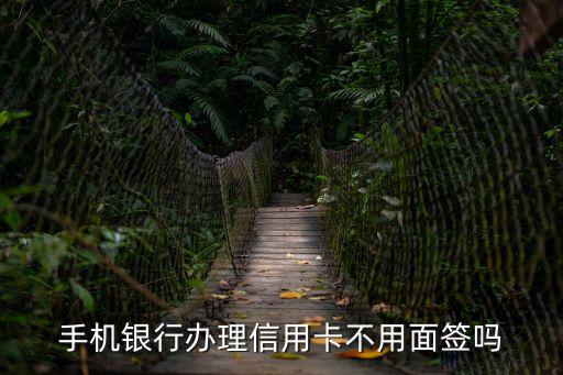 怎么辦信用卡不用面簽，辦理信用卡哪個銀行不需要面簽