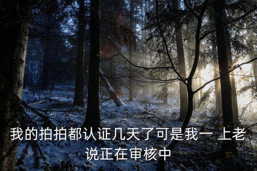 我的拍拍都認證幾天了可是我一 上老說正在審核中