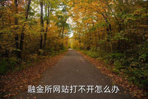 融頭經(jīng)融怎么打不開了，捷信金融下載好啦怎么打不開