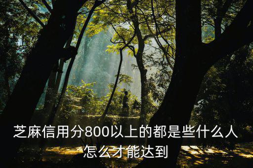芝麻信用分800以上的都是些什么人怎么才能達(dá)到