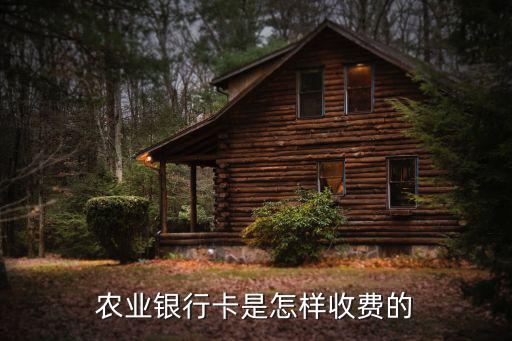 農(nóng)業(yè)銀行卡是怎樣收費的