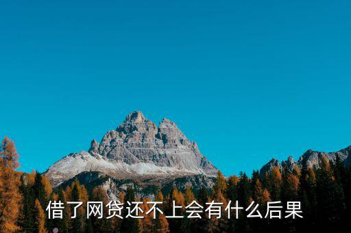 借了網(wǎng)貸還不上會(huì)有什么后果