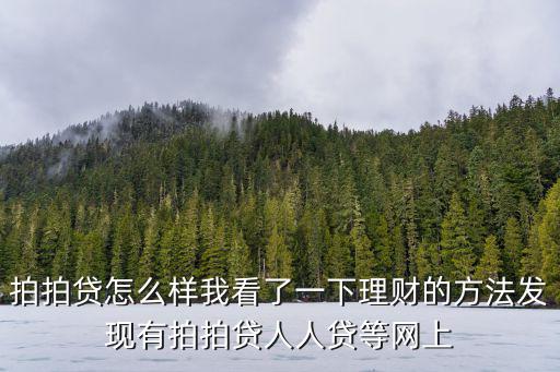 拍拍貸怎么知道投資人，拍拍貸怎么樣我看了一下理財?shù)姆椒òl(fā)現(xiàn)有拍拍貸人人貸等網(wǎng)上