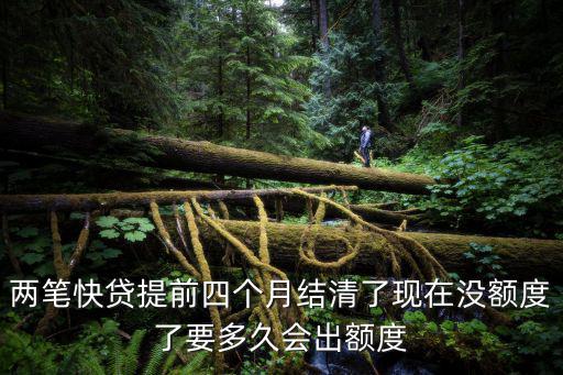 兩筆快貸提前四個(gè)月結(jié)清了現(xiàn)在沒(méi)額度了要多久會(huì)出額度
