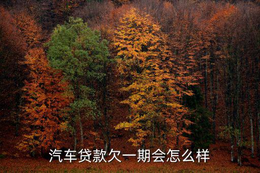 汽車貸款欠一期會怎么樣