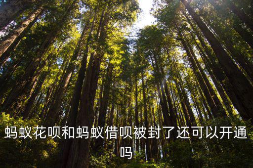 螞蟻花唄和螞蟻借唄被封了還可以開通嗎