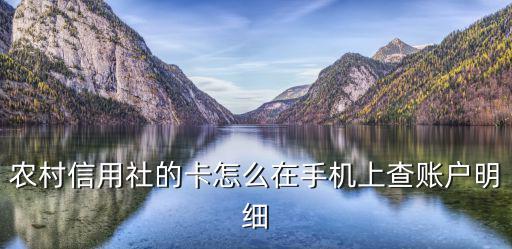 農村信用社的卡怎么在手機上查賬戶明細
