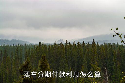 買車分期付款利息怎么算