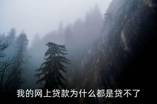 我的網(wǎng)上貸款為什么都是貸不了