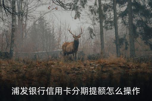 浦發(fā)怎么發(fā)短信提額，浦發(fā)銀行信用卡如何開通短信提醒需要收費(fèi)嗎