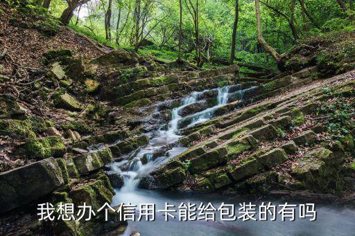 我想辦個信用卡能給包裝的有嗎