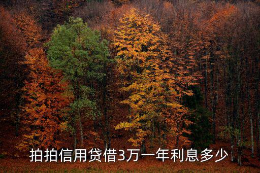 拍拍貸利息怎么那么高，拍拍貸借款安全嗎貸一萬塊12個月還完利息 高 嗎