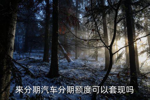 車秒貸額度怎么套現(xiàn)，車秒貸個(gè)人信用額度是干什么用的
