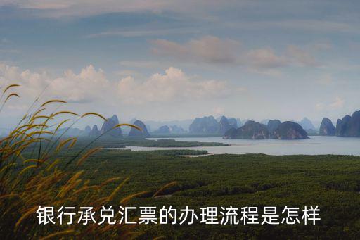 銀行承兌匯票具體怎么操作，收到一張承兌匯票要具體怎么使用啊