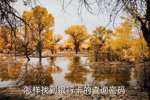 銀行充值記錄怎么查詢密碼，建設(shè)銀行電子銀行怎么查詢支付密碼