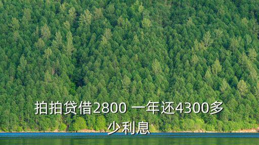 拍拍貸借2800 一年還4300多少利息