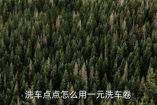 洗車點點怎么用一元洗車卷