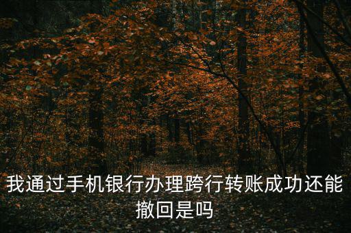 我通過手機(jī)銀行辦理跨行轉(zhuǎn)賬成功還能撤回是嗎