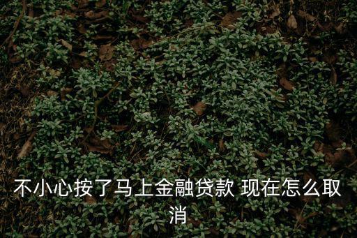 不小心按了馬上金融貸款 現(xiàn)在怎么取消