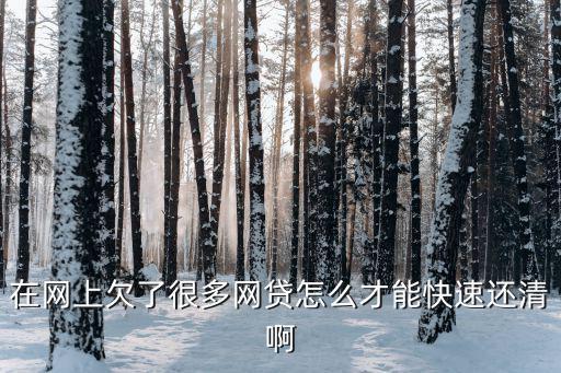 欠了網(wǎng)貸怎么還，我想還網(wǎng)貸但是不知道怎么還