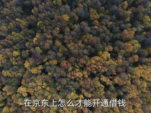 在京東上怎么才能開(kāi)通借錢(qián)
