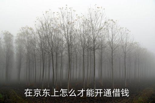 京東金融怎么借貸，你好京東借錢怎么借