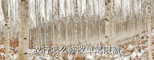 農(nóng)業(yè)銀行限額怎么改，農(nóng)行每日限額怎么修改