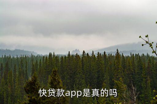 快速借款app怎么樣，快貸款app是真的嗎