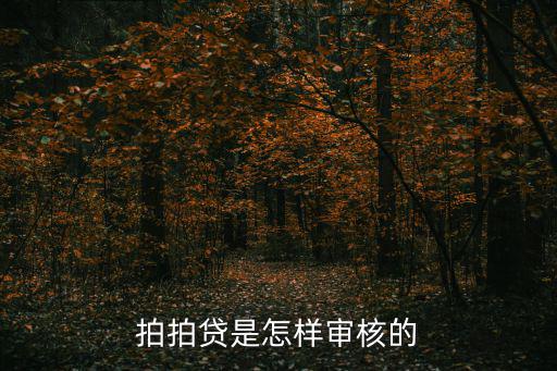 拍拍貸人工審核怎么弄，第一次向拍拍貸借款怎樣通過(guò)審核有經(jīng)驗(yàn)的朋友幫幫我