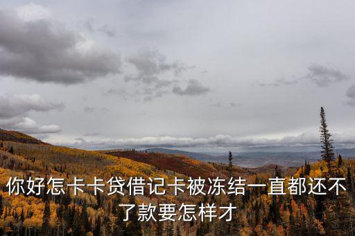 你好怎卡卡貸借記卡被凍結(jié)一直都還不了款要怎樣才