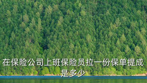 保險(xiǎn)人員保單怎么提成，在保險(xiǎn)公司上班保險(xiǎn)員拉一份保單提成是多少