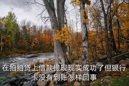 在拍拍貸上借款提現(xiàn)現(xiàn)實(shí)成功了但銀行卡沒(méi)有到賬怎樣回事