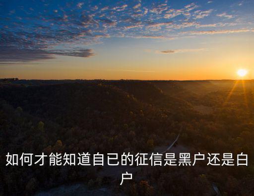 如何才能知道自已的征信是黑戶還是白戶
