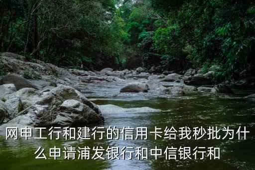 網(wǎng)申工行和建行的信用卡給我秒批為什么申請浦發(fā)銀行和中信銀行和